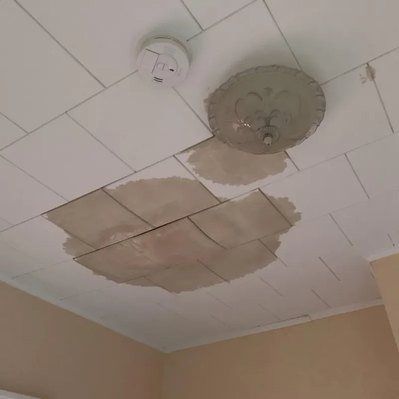 Ceiling Water Damage Repair in South Canal, OH