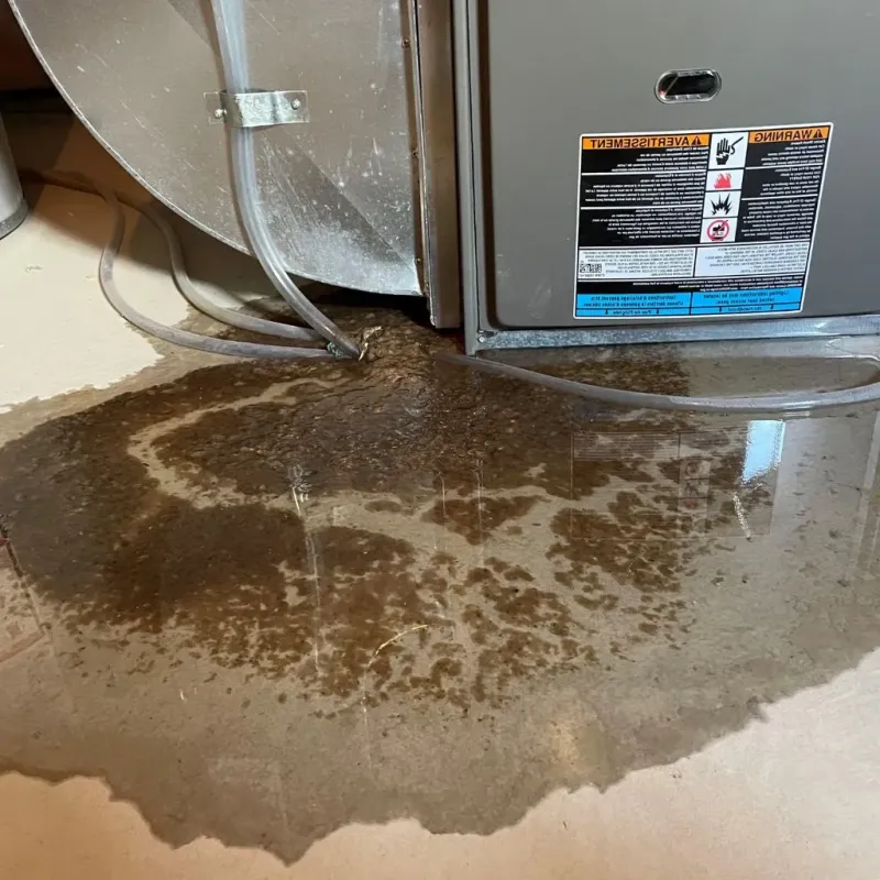 Pipe Burst and Leak Restoration in South Canal, OH
