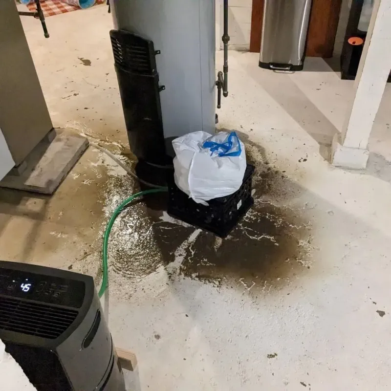 Sewage Backup Cleanup Service in South Canal, OH